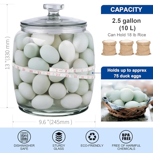 Daitouge 2.5 Gallon Glass Jars with Lids, Wide Opening Large Jar, 1 Pack