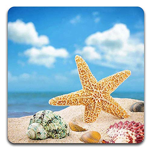 Beach Shells Square Coaster Set - Made of Recycled Rubber - Set of 4 - color: Beach Shells
