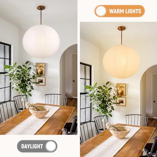 White Round Paper Lantern Lampshade set of 2, 20"x20'' Large Paper Lanterns Pendant Light Shade, Chinese Foldable Design for Living Room, Bedroom, Ceiling Lampshade Party Decor