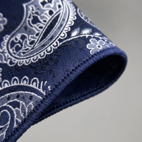 S&W SHLAX&WING Mens Pocket Square Paisley Multicolor Large for Business Wedding - color: Ah87