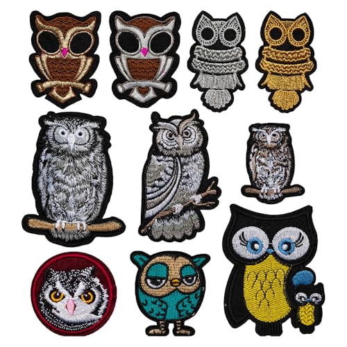 10 Pcs Owl Iron on/Sew on Patches, Embroidered Applique Patches, Clothes Backpacks Hats Pants Jackets Jeans Decoration, DIY Accessories - color: 10 Owl