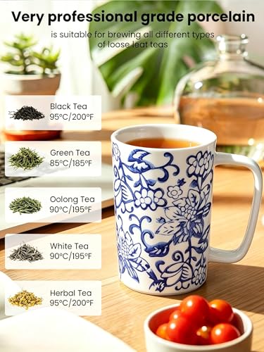 Ceramic Tea Mug with Infuser and Lid,16oz Porcelain Loose Leaf Tea Cup with Large Handle,Metal-Free Filter,Microwave &Dishwasher Safe,Perfect for Tea,Coffee (Classic Blue and White) - color: Classic Blue and White