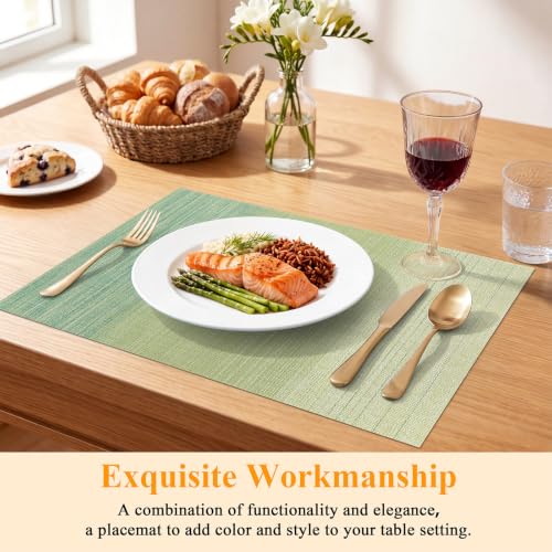 SHACOS Gradient Green Woven Placemats Set of 4 Place Mats Indoor Outdoor - color: Gradient Green, size: Set of 4