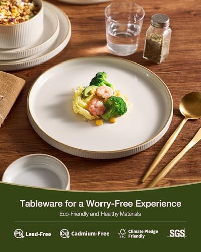 Famiware Star Stoneware Dinnerware Sets for 8, Rimmed Plates and Bowls Set - color: White