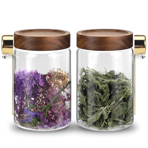 Glass Coffee Jars with Scoop Glass Jar Airtight Lid Seasoning Containers Glass Spice Jar Pantry Storage Containers for Kitchen Sugar Coffee Bean Nuts Cookies Herbs (900ml/30oz-2 pack -with spoon) - color: 900ml/30oz-2 pack -with spoon