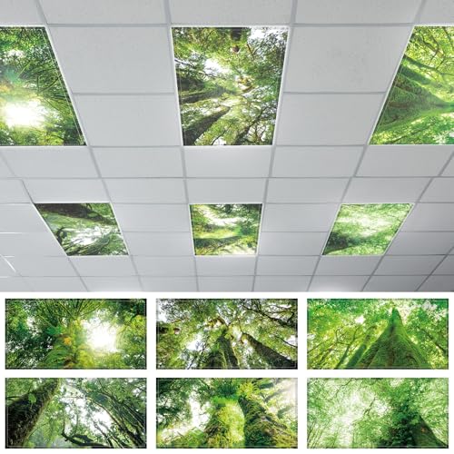 6 Pcs Fluorescent Light Covers with 60 Magnets Decorative for Classroom Ceiling Lights 4 x 2 Feet Magnetic Light Cover Filter Easy Install for Office Hospital Home Ceiling Supplies (Rainforest) - color: Colorful