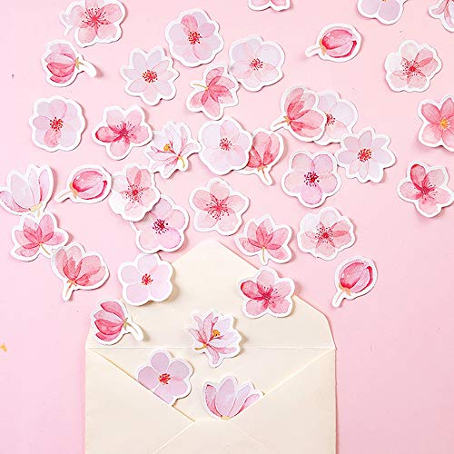 45PCS Small Scrapbooks Laptop Stickers, Doraking Boxed Flowers Monogatari Stickers for Laptop, Scrapbooking, Suitcase, Wallet