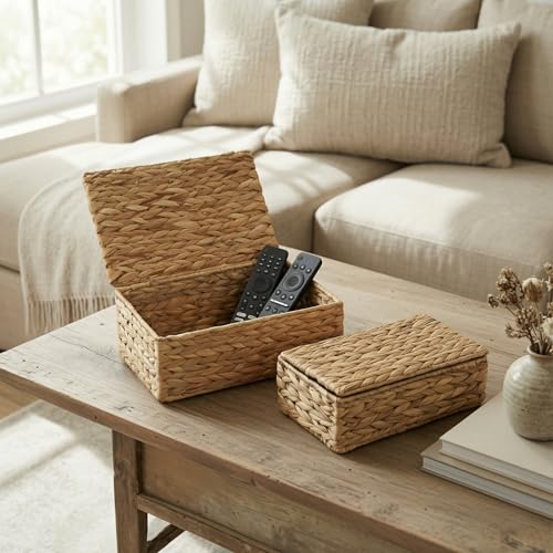 Decorative Storage Boxes with Lids - Set of 2 Wicker Organizer Shelf Bins