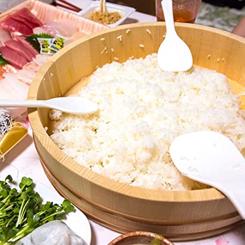 TIKUSAN Wooden Hangiri Sushi Rice Mixing Tub PP Band with Lid Made in Japan Made of Momi Fir Sushi Rice Bowl Sushi Oke (13" (33cm)) - size: 13" (33cm)