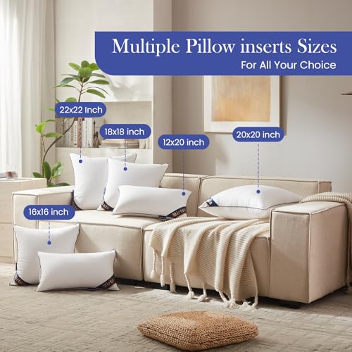 Mirtala 16"x16" Pillow Inserts with 100% Cotton Cover Decorative Square Throw 16" Pillows for Living Room, Sofa, Couch, and Bed-White (2, 16 x16 Inch) - size: 16 x16 Inch
