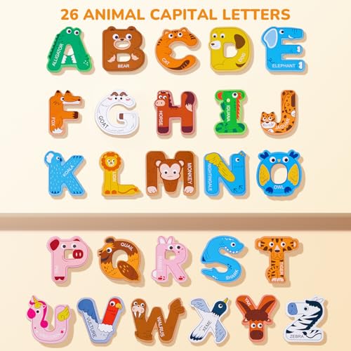 JoyCat Magnetic Letters, Alphabet ABC Fridge Magnets for Toddlers,26 PCS - style: Letters