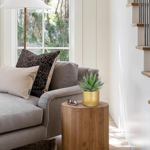 Briful Succulents Plants Artificial for Home Decor, Realistic Potted Fake Agave Plant, Gold Metal Pot, Cute Aloe Maguey Faux Plant, Shelf Tables Decor, Modern Farmhouse Home Kitchen Decorations - color: Aloe-gold Metal Vase