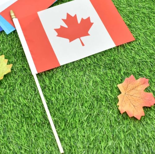 25Pack Small Canada Flag Handheld Mini Canadian Flag on Stick 5x8 Inch - color: Canada