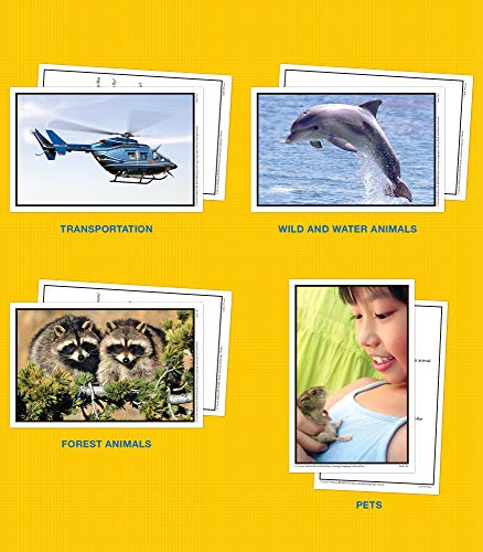 Key Education Early Learning Language Library Flash Cards, Speech Therapy