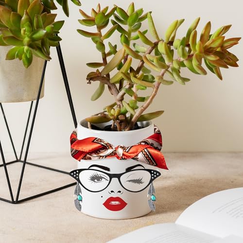 DSjuedui Funny Face Planter Pot Accessories, 29Pcs Face Stickers for Crafts