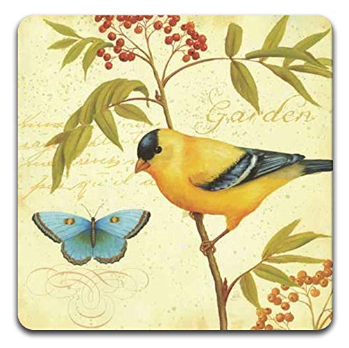 Bird and Butterfly Square Coaster Set - Made of Recycled Rubber - Set of 4 - color: Bird and Butterfly