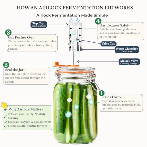 JILLMO 1.5L Wide Mouth Glass Fermentation Jar with Airlock & Weight, 2 Pack - size: 1.5 Liter