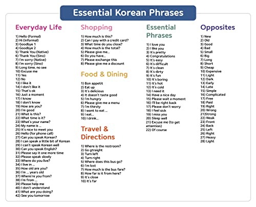 Korean Flashcards for Beginners – 120 Essential Dialogue Phrases & Words – Includes Hangul, Romanization, English, MP3 Audio, Gift Box - style: Gift Box