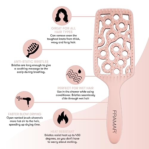 FRAMAR Professional Vented Hair Brush, Vent Brush For Blow Drying - color: Champagne