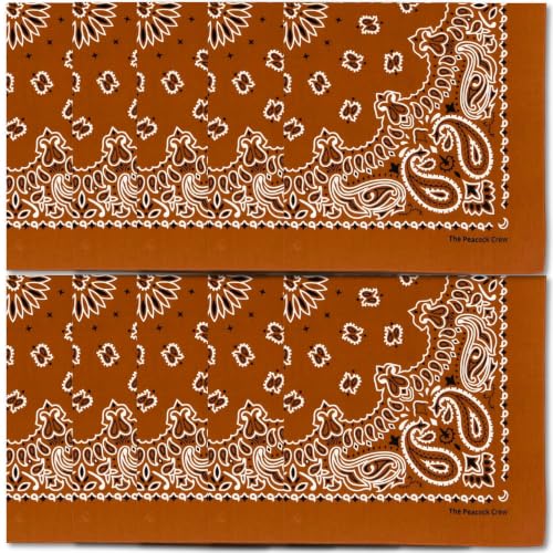 The Peacock Crew Premium Soft Cotton Bandanas Pack for Men and Women Paisley 22 x 22 inches - color: Pack of 10 Terracotta