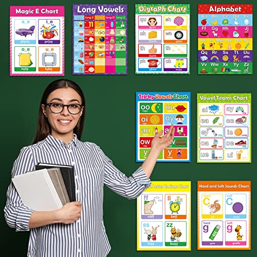 gisgfim 12 Pieces English Phonics Language Posters Decorations for Word Wall Phonics Charts for Alphabet Flash Cards Materials