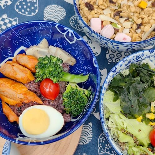 28Oz Ceramic Ramen Noodle Pho Bowl Set with Chopstick&Spoon&Gift box - size: 6in Floral Striped Pattern