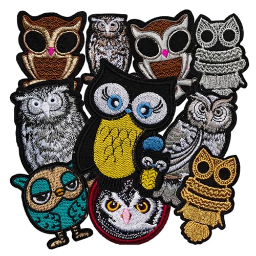 10 Pcs Owl Iron on/Sew on Patches, Embroidered Applique Patches, Clothes Backpacks Hats Pants Jackets Jeans Decoration, DIY Accessories - color: 10 Owl