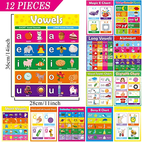 gisgfim 12 Pieces English Phonics Language Posters Decorations for Word Wall Phonics Charts for Alphabet Flash Cards Materials