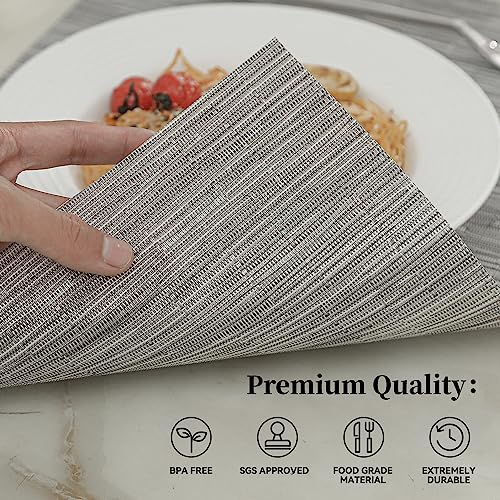 Leetaltree Silver Placemats Set of 12 - Heat Resistant Non-Slip Place mats for Dining Table, Washable Durable PVC Vinyl Woven Table Mats（Sliver, 12） - color: E1- Sliver, size: Set of 12