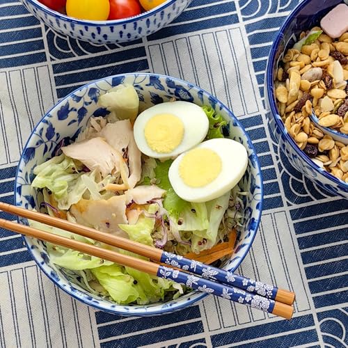 28Oz Ceramic Ramen Noodle Pho Bowl Set with Chopstick&Spoon&Gift box - size: 6in Floral Striped Pattern