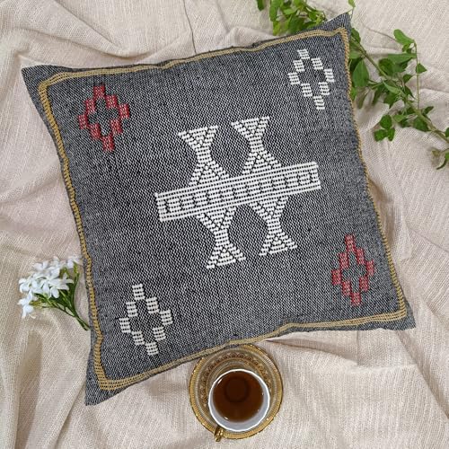 Trade Star Sabra Kilim Pillow Cover 100% Cotton Throw Pillow Cover Decorative Luxurious Farmhouse Breathable Cushion for Living Room Beautiful Handcrafted Sofa Elegant Cushion Cover - color: Pattern- 3