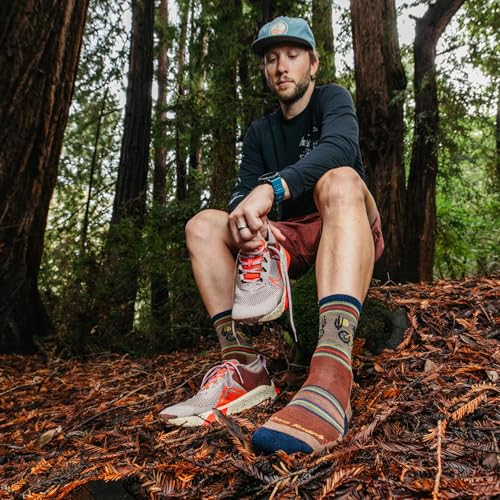 Darn Tough Vermont Men's Willoughby Micro Crew Cushion Hike Socks (5003) - color: Chestnut, size: Large