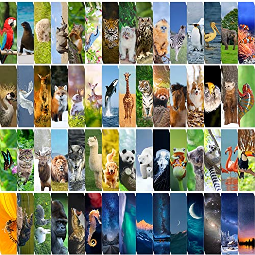 300PCS Animal Bulk Bookmarks for Kids Classroom 60 Designs Cool Wildlife Bookmark Cute Book Mark Double Sided Bookmark for Book Lovers Students Children Rewards Gifts - color: 300 Animals