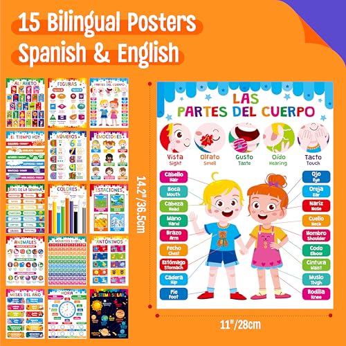 15 Packs Spanish & English Educational Posters, Thick Elementary Bilingual Poster Waterproof & Tearproof with PET Film, Early Language Learning Tool Educational Posters for Kindergarten Preschool - size: Spanish & English Educational Posters(14.5”x11”)