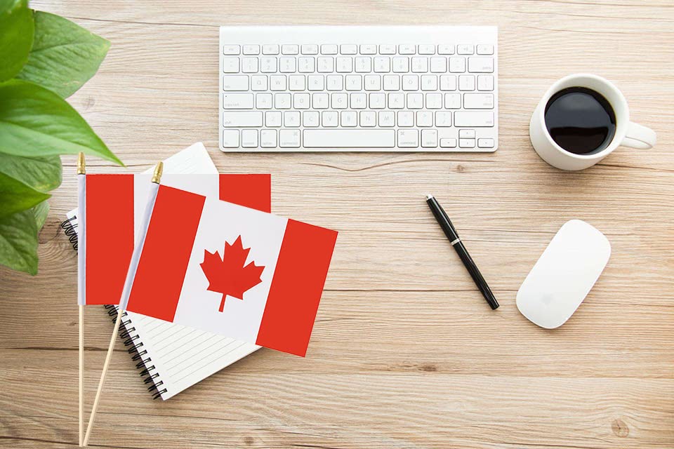 25Pack Small Canada Flag Handheld Mini Canadian Flag on Stick 5x8 Inch - color: Canada