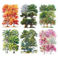 180 Pcs Tree Stickers for Scrapbooking and Journaling - color: Romantic Forest